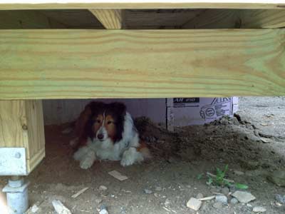 Surveying his new domain