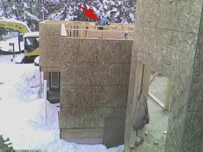 a different one missing