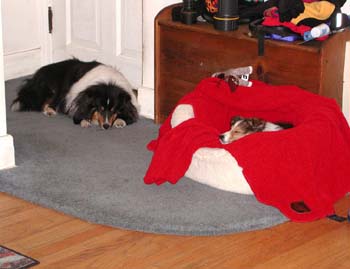 cooper_skye_xhausted