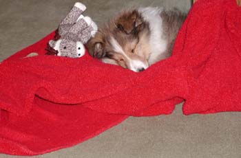 cooper_xmas_exhausted2