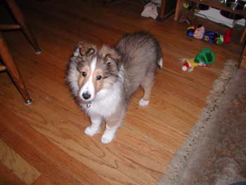 cooper_inside_3mos.01