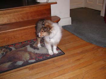 cooper_inside_3mos.06