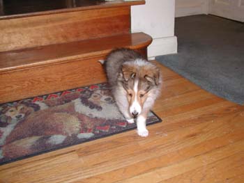 cooper_inside_3mos.07