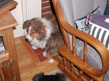 cooper_inside_3mos.08