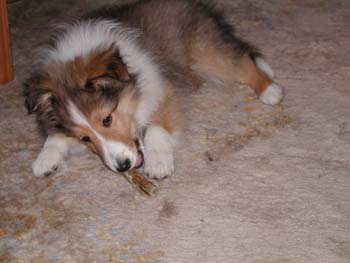 cooper_inside_3mos.09