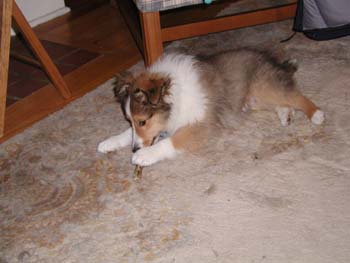 cooper_inside_3mos.12