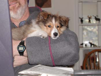 cooper_inside_3mos.21