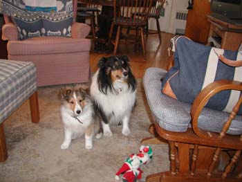 cooper_inside_3mos.25