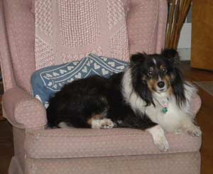 her majesty