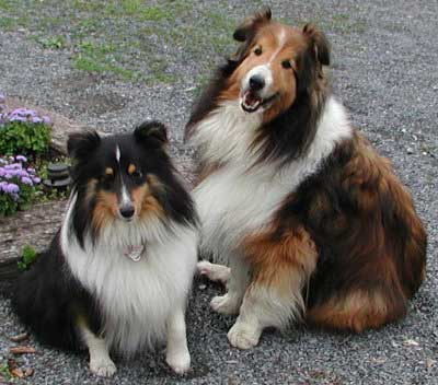 MacGreagor and Skye