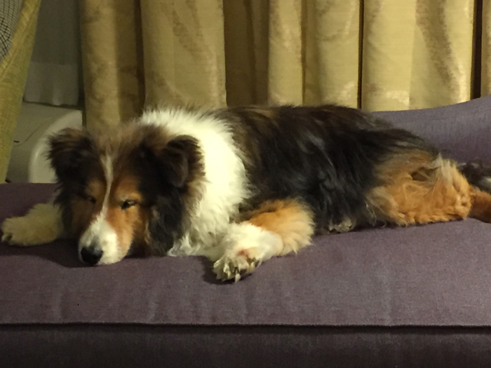 Resting