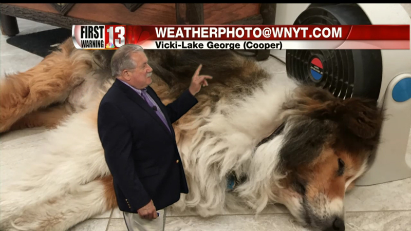 Cooper Makes Channel 13 Weather