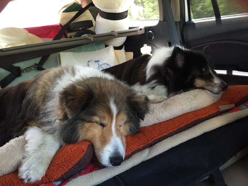 Travel is Exhausting