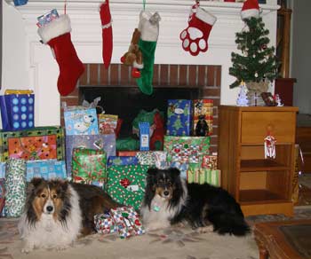 Cooper and Skye at Christmas