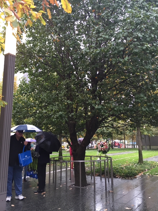 Survivor Tree