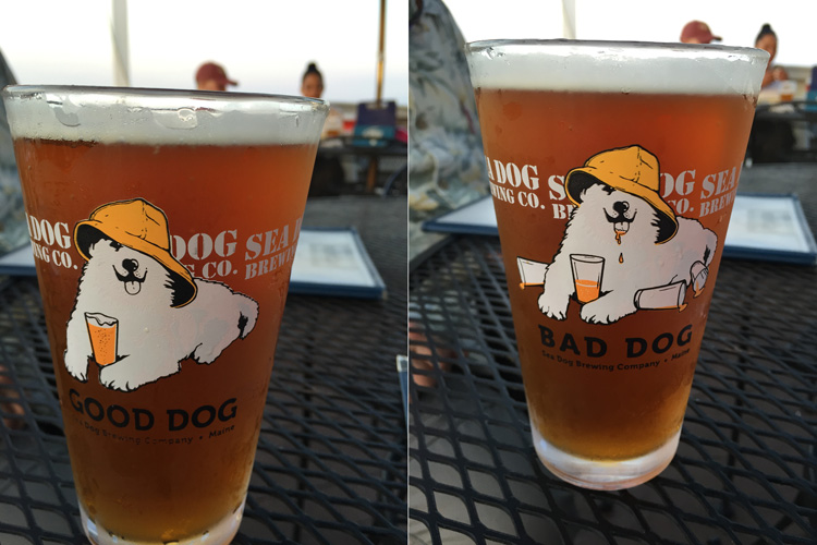 Good Dog, Bad Dog