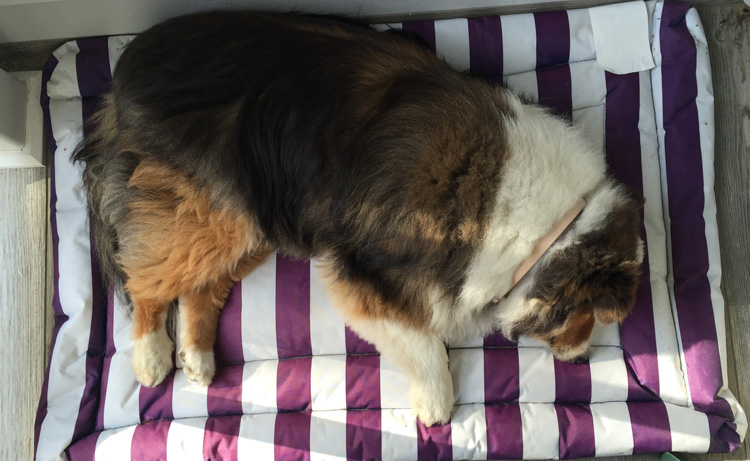 Home Again and EXHAUSTED!