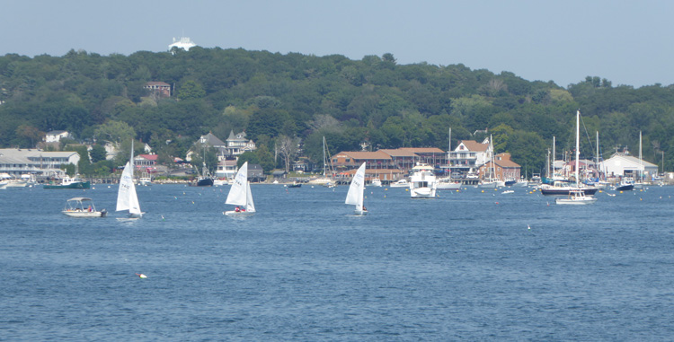 Sail Boat Racing in the Bay