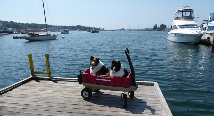 Harbor View