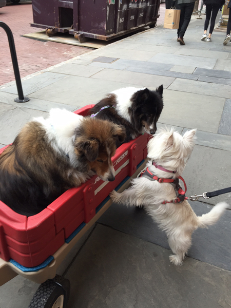 Making Friends