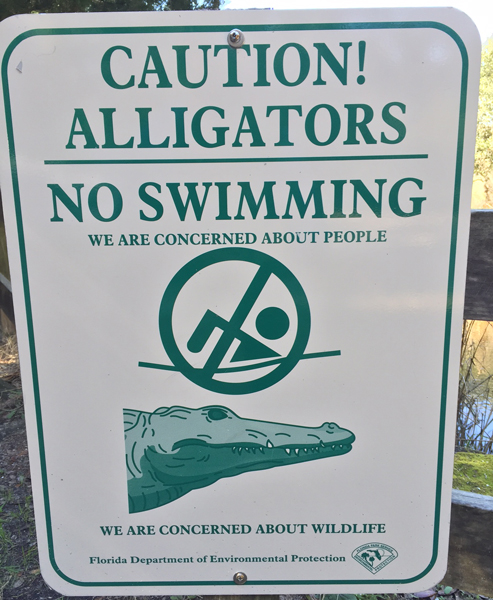 No Kidding