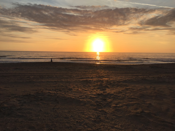 sunrise